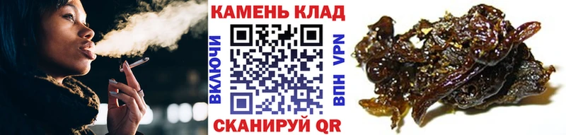 ГАШ индика сатива Гдов
