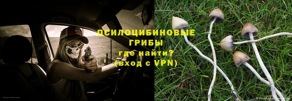 прущая мука Надым