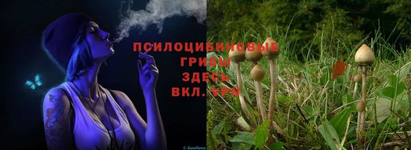 прущая мука Надым